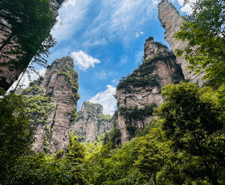 张家界国家森林公园峰林