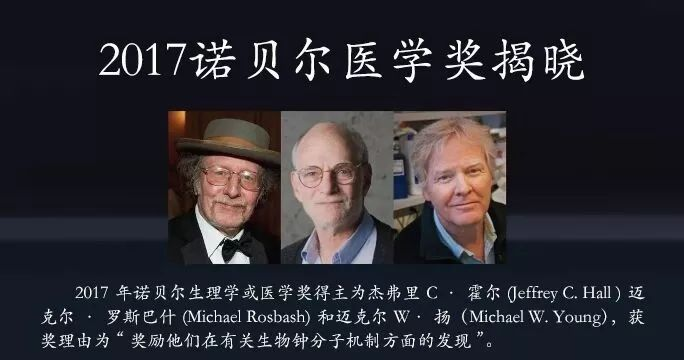 21世纪的“长寿研究”:NAD+如何影响我们的生命时钟?谁是重要的“源头”企业?