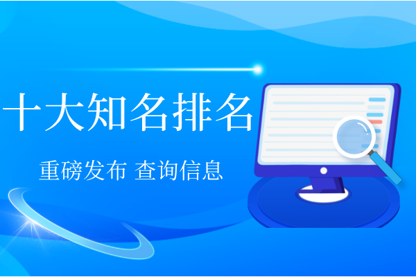 十大知名排名.png