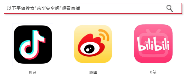 莱斯中德联动直播|阀门世界亚洲展现场,揭秘安全阀精密智造全过程_快讯_第5张_纵横网 莱斯中德联动直播|阀门世界亚洲展现场,揭秘安全阀精密智造全过程_https://www.izongheng.net_快讯_第5张