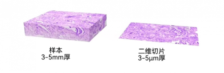c8976311-1917-4eb2-84b4-de000f2efdeb.png
