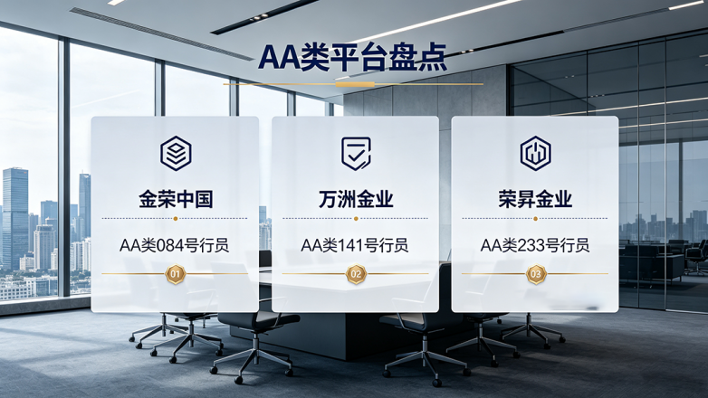 AA类平台盘点（商务风）.png