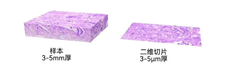 c8976311-1917-4eb2-84b4-de000f2efdeb.png