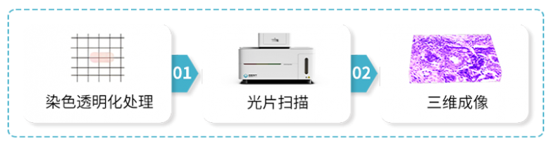 微信图片_20260901140839_906_9.png