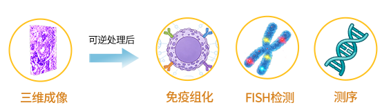 微信图片_20260901161512_2339_35.png