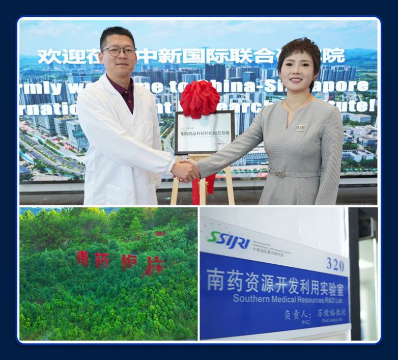 图片9.png