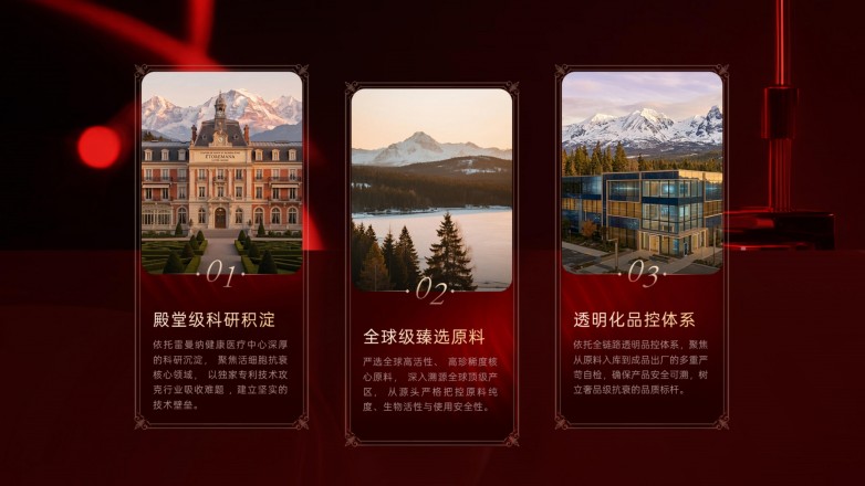 温莎之谜品牌手册PPT_09.jpg