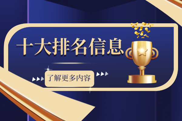 十大排名信息.png