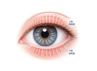 8dbe936fed902a2a5c22ad435029311c.png